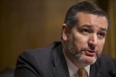 Sen. Ted Cruz (R-Texas)  (Getty Images)  